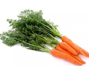 胡蘿卜的營養價值-胡蘿卜的功效與作用