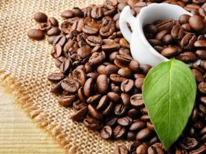 咖啡能預防皮膚癌嗎？喝咖啡的好處