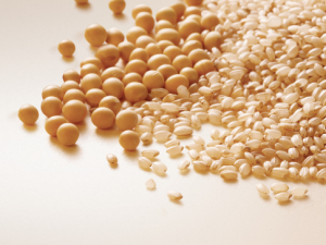 五谷雜糧養好你的五臟-雜糧養生法