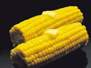 烤玉米有營養嗎？玉米的吃法大PK