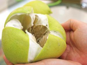 柚子皮怎么做？柚子皮的功效與作用