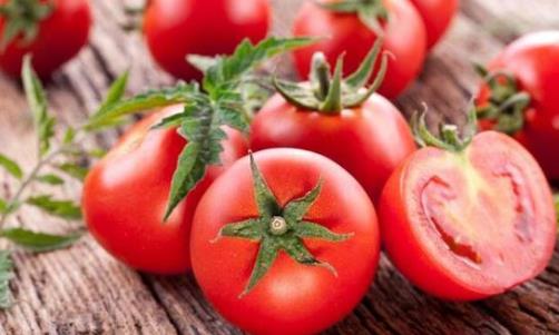 ?吃西紅柿為什么會腹瀉?西紅柿有哪些營養成份?