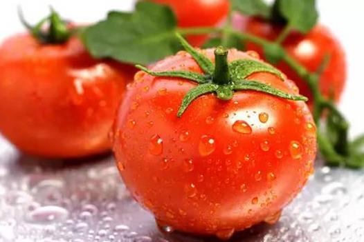 ?生吃西紅柿能吸收番茄紅素嗎?生吃西紅柿要注意什么?
