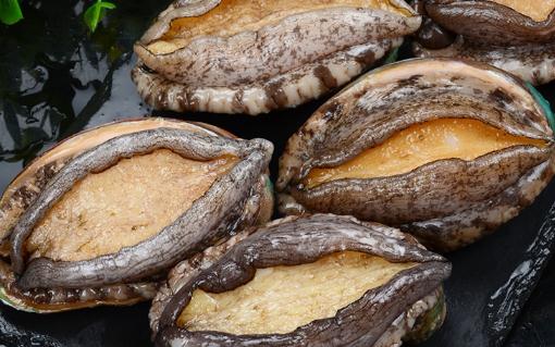 鮑魚蒸幾分鐘口感好 鮑魚要冷水還是熱水焯水