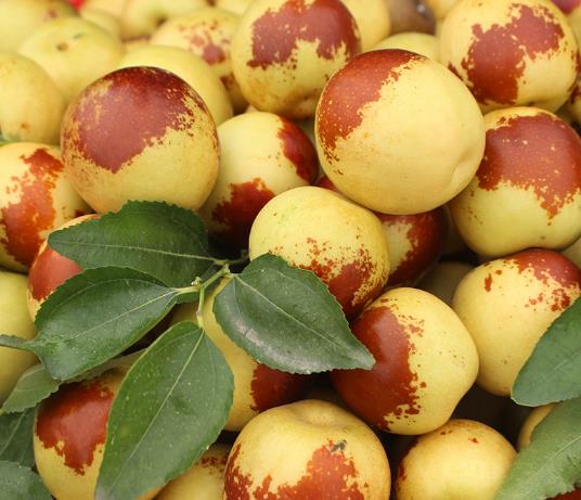 ?紅棗沒曬干之前叫什么?青的冬棗采下來自己會熟嗎