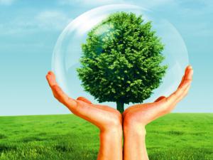 ?什么是保險公估人？保險公估的發(fā)展