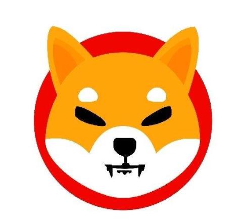 shib幣會是下一個千倍幣嗎?馬斯克買了多少shib幣?