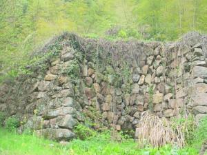 如何看墓地風(fēng)水？墓地風(fēng)水學(xué)知識