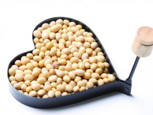 吃大豆易引發(fā)痤瘡-吃什么會(huì)促生痘痘?