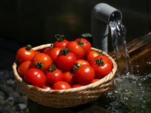 喝豆漿吃番茄增加飽足感-上班族懶人減肥法