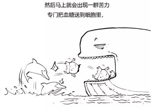 漫畫科普-糖尿病治療新模式