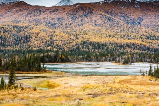 我國(guó)發(fā)現(xiàn)迄今最早遠(yuǎn)古森林 新疆發(fā)現(xiàn)距今約有3.71億年的遠(yuǎn)古森林