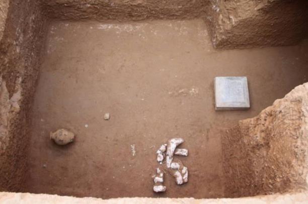 咸陽(yáng)發(fā)現(xiàn)規(guī)模最大最完整隋代家族墓園 由方形圍溝和7座墓葬組成