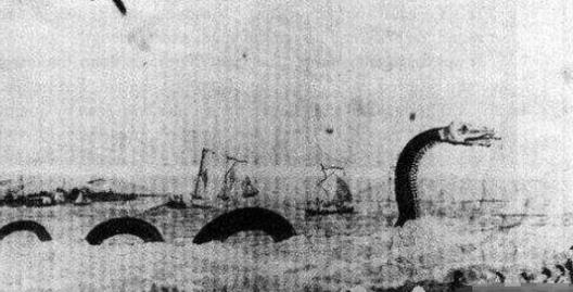 世界上最大的海蛇 巨型大海蛇長18米 未被證實的生物