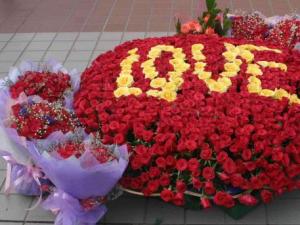 ͬɫõ廨ĺx {õ{ɫõ廨Z