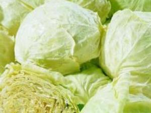 產婦能吃卷心菜嗎?產婦吃卷心菜有什么好處