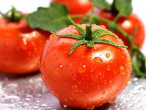 產婦能吃西紅柿嗎？產婦吃西紅柿的做法