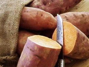 產婦能吃紅薯嗎?產婦吃紅薯的做法