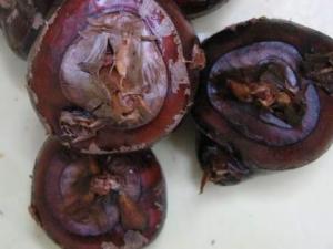 產婦能吃荸薺嗎？產婦吃荸薺的做法