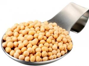 哺乳期能吃黃豆？哺乳期吃黃豆的做法