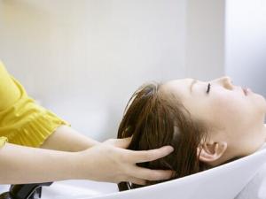 如何用側柏葉洗頭？側柏葉對脫發的功效