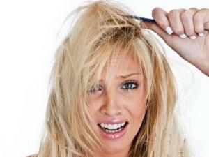 脫發的原因？用藥膳來解決脫發問題