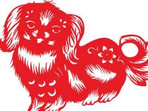 2015年屬狗的全年運程 屬狗的2015年多大