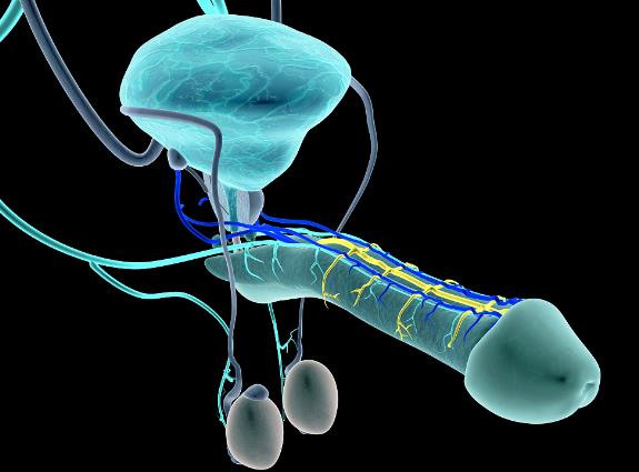 ԵĶʲôӵĈDƬӵĲLǶ