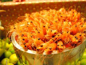 蝦的做法大全-蝦怎么做好吃?