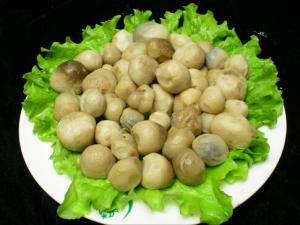 草菇怎么做營養好吃？草菇的做法