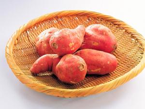 紅薯發芽了還能吃嗎?紅薯的營養價值