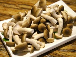 珍珠菇的做法-珍珠菇的功效與作用