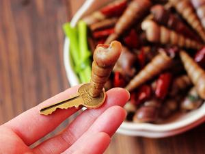 錐螺怎么做好吃？錐螺怎么吃？錐螺的做法