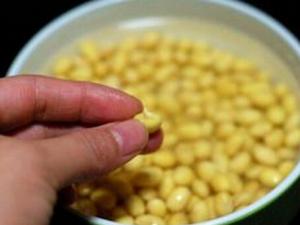 發芽豆還可以用嗎？發芽豆打豆漿更鮮美