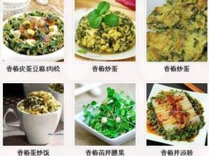 香椿怎么做好吃？香椿的做法
