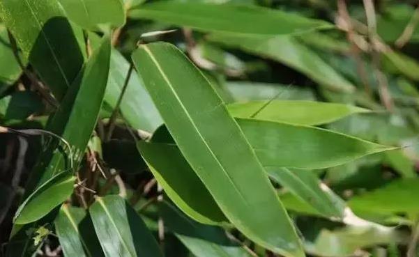 繝(ji)~ʲô~ӣԭ@ô~Ӷ԰