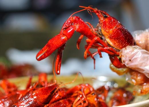 小龍蝦要剪掉鉗子嗎?小龍蝦怎么能抽出蝦線?