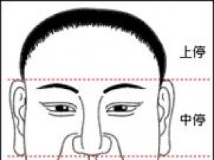 面相學入門:面相的三停指的是什么