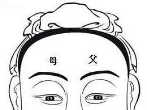 面相算命圖解:面相十二宮圖之父母宮