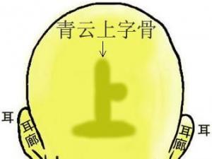 骨相圖解:青云上字骨