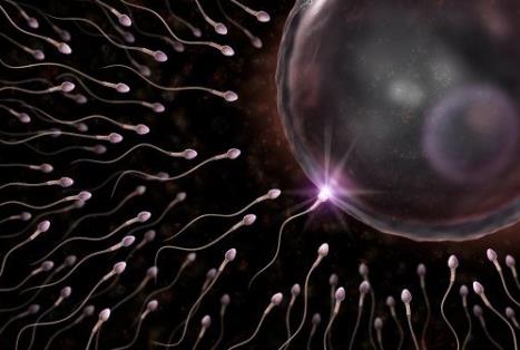 ӳɻʵôkӳɻʵͳʲôʳ