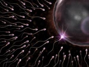 精子成活率低怎么辦?精子成活率低吃什么好