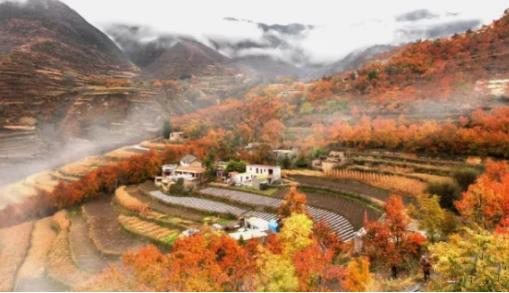 光霧山什么時(shí)候去看楓葉最好 光霧山最佳旅游季節(jié)