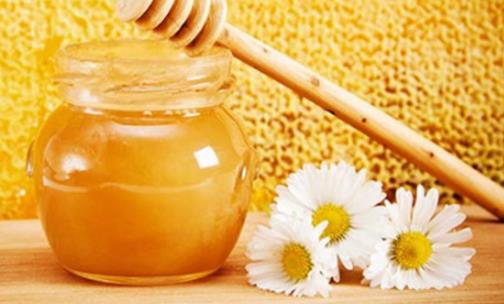 脂肪肝的人什么時候喝蜂蜜好 脂肪肝的人喝蜂蜜最佳時間