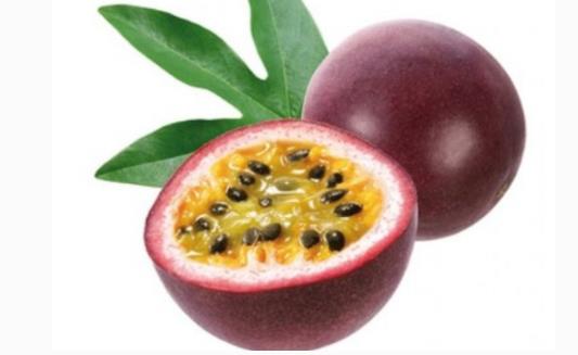 什么時候種植百香果最適宜 百香果最佳種植時間