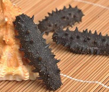 ?蛋白質含量高的十種食物排名,海參、螺旋藻蛋白質都很高