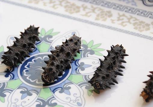 ?十大高蛋白食品排名,海參藥食同源營養價值高,補充蛋白質極佳