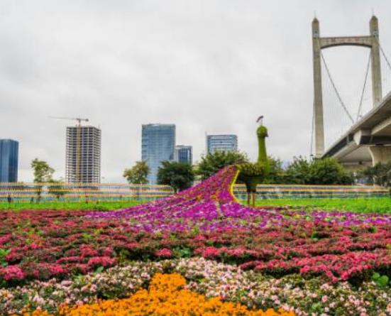 十大福州網(wǎng)紅公園排名,西湖公園景色秀麗、左海公園娛樂設(shè)施多
