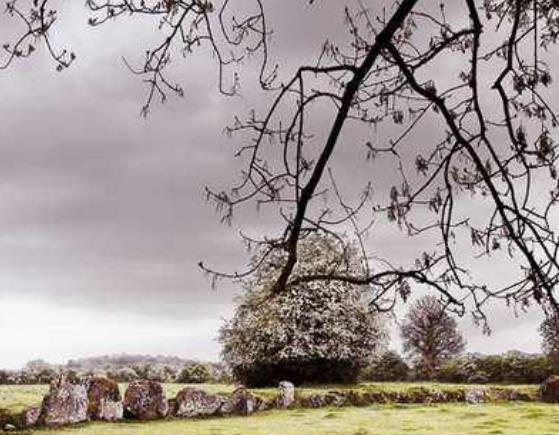 愛爾蘭利默里克郡十大旅游排行 福因斯飛船博物館曾是萬維網(wǎng)服務(wù)器群的所在地