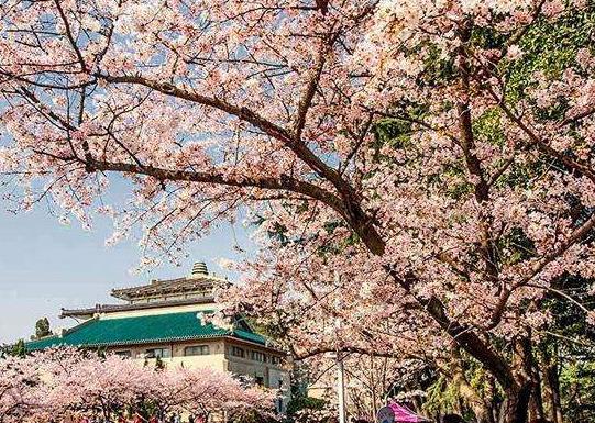 hѻ5߀І᣿3·hęѻ_ˆ